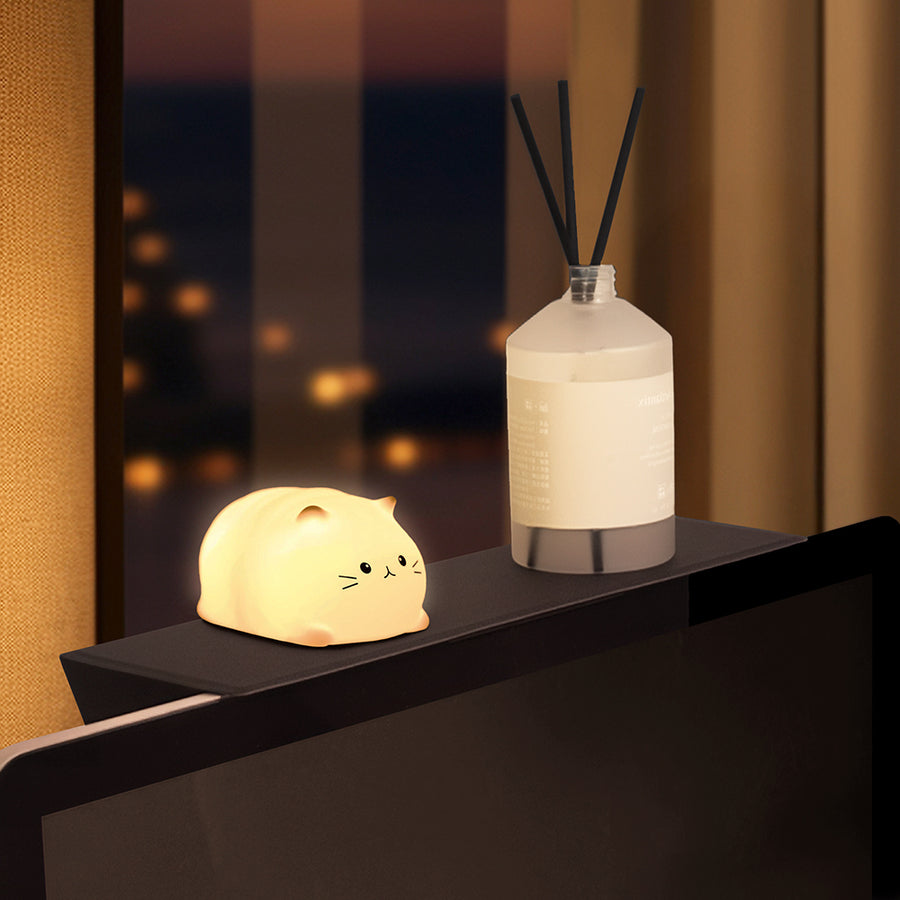 Magnetic Monitor Top Shelf