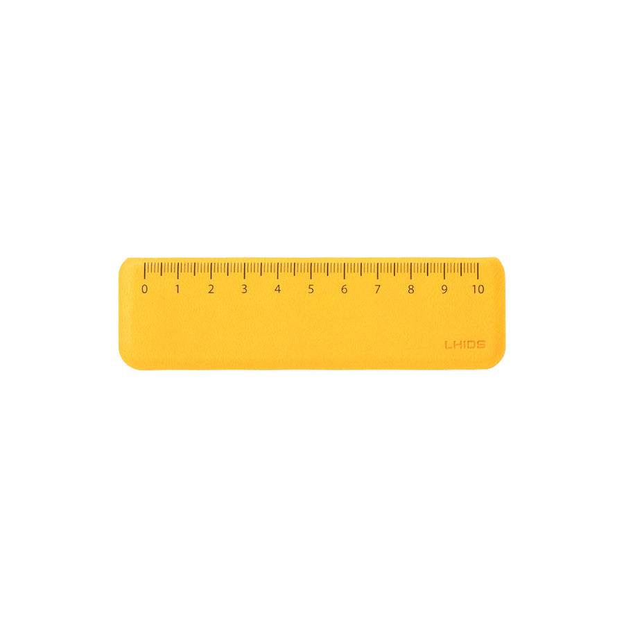 Magnetic Ruler