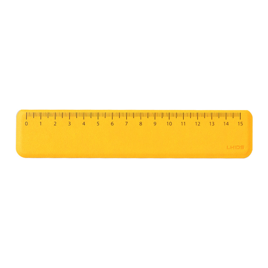 Magnetic Ruler